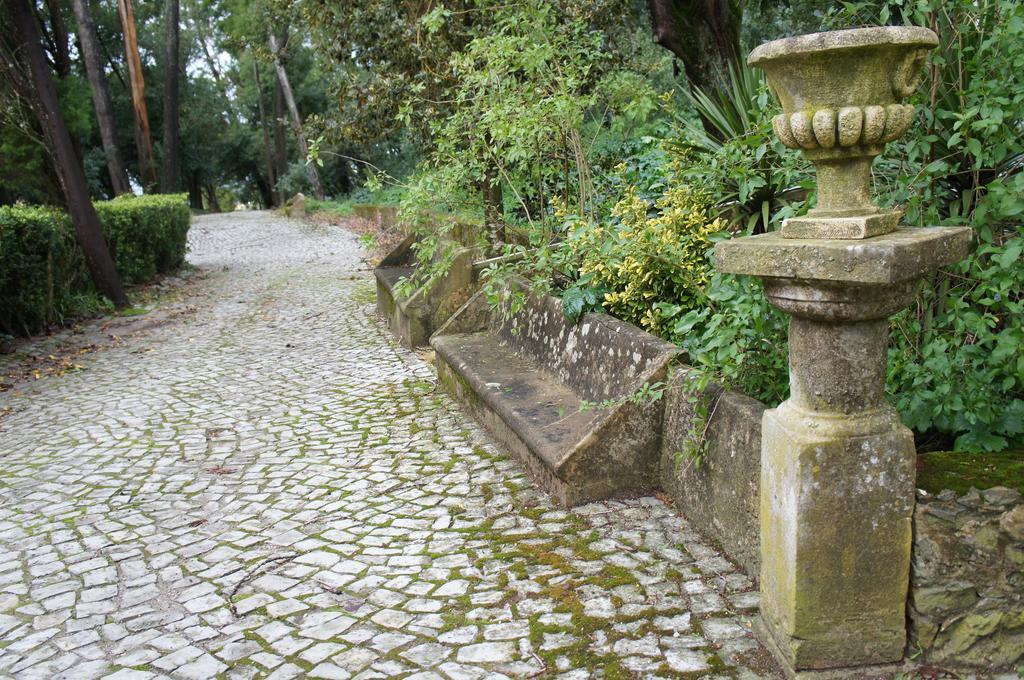 Hotel Quinta Do Convento Vila Verde dos Francos Exteriér fotografie